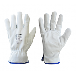 Gloves L-2 PLUTO WINTER