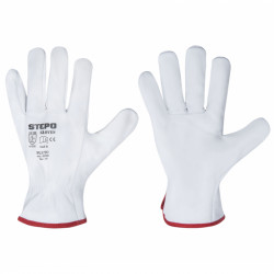 Gloves L-2 (PLUTO)