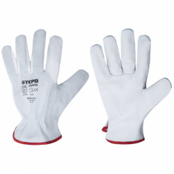 Gloves L-3 (MERCURY)