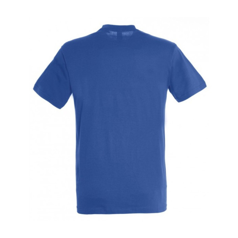 Brooks Brothers Men's Regent Fit All Cotton Non Iron Dress Shirt Mixed  Striped (Blue Multi Pinstirpe 80640, 17