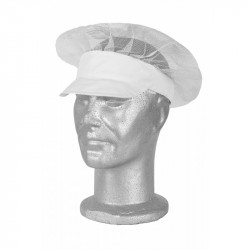 Cap with spout and mesh