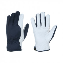 Gloves ASSEMBLY