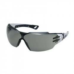 Glasses UVEX 9198237 gray